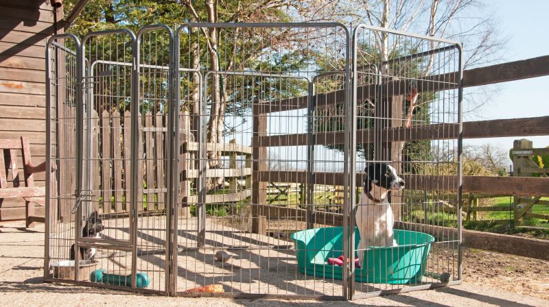 Electric Pet Fence Installation