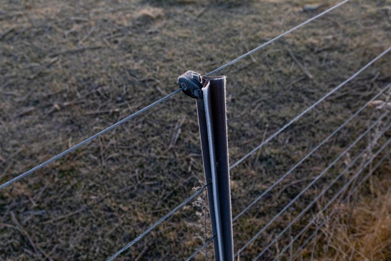 Electric Pet Fence Installation Costs — Cost of Electric Pet Fence Installation