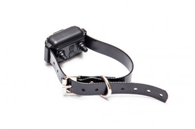 Electric Pet Fence Installation Costs — Cost of Electric Pet Fence Installation
