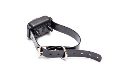 Get Your Pet a Collar That Gives an Electrical Correction!